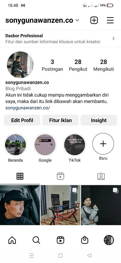 halaman profile akun instagram tipe bisnis atau professional