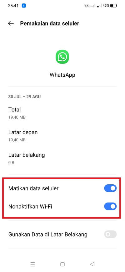 Bagaimana cara agar pesan WA tidak masuk saat data hidup
