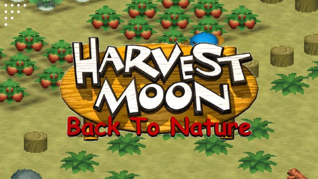 Cara Memasak di Game Harvest Moon Back to Nature